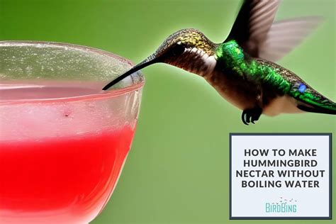 How To Make Hummingbird Nectar Without Boiling Water