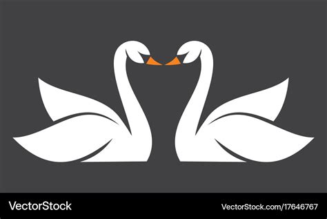 Two Swans Royalty Free Vector Image Vectorstock