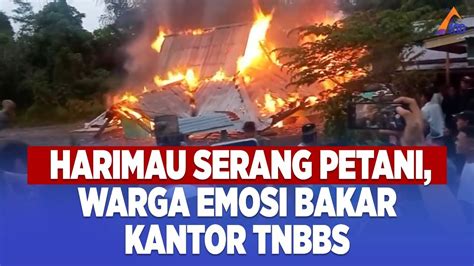 MASSA BAKAR KANTOR POLISI HUTAN LAMPUNG USAI HARIMAU KEMBALI SERANG