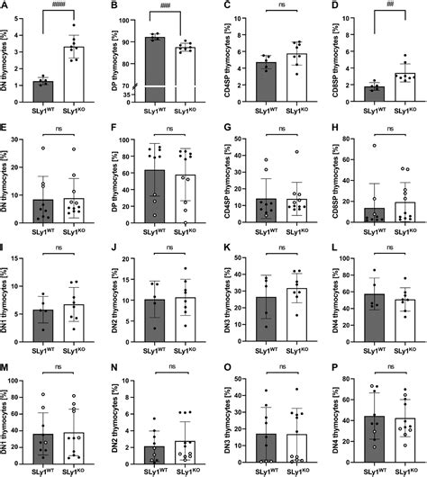 Knockout Of Sly Decreases Doublenegative Thymocyte Proliferation And