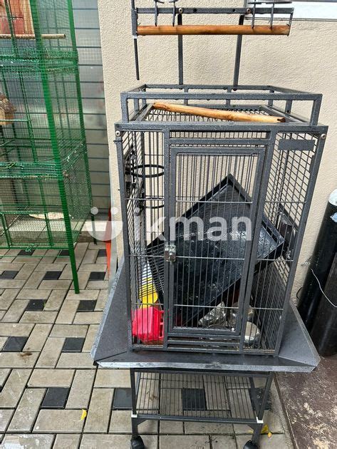 Bird Cage For Sale In Nugegoda Ikman