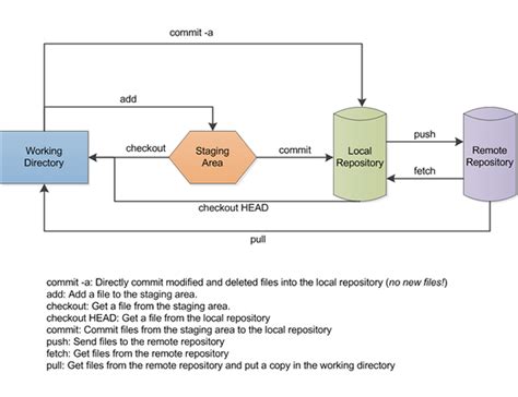 Diferencia Entre Git Fetch Y Git Pull Diffexpert