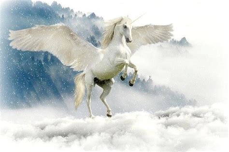 White horses in mythology – Afrinik