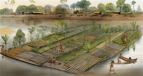 O Que Sao Chinampas - The History Of Chinampas, The ‘Floating Gardens’ Of Mexico