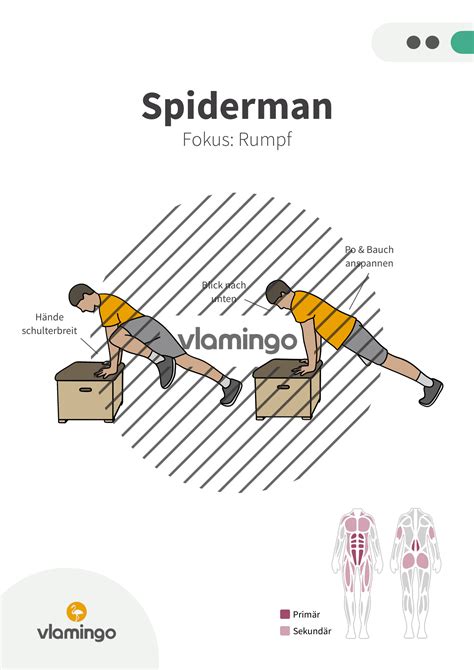 Introducir 69 imagen spiderman fitness übung Abzlocal mx