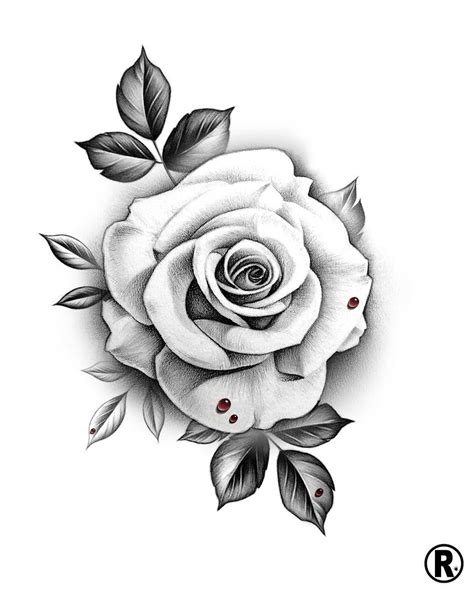 A Imagem Pode Conter Flor E Planta 336081190943580322 Tatuajes De