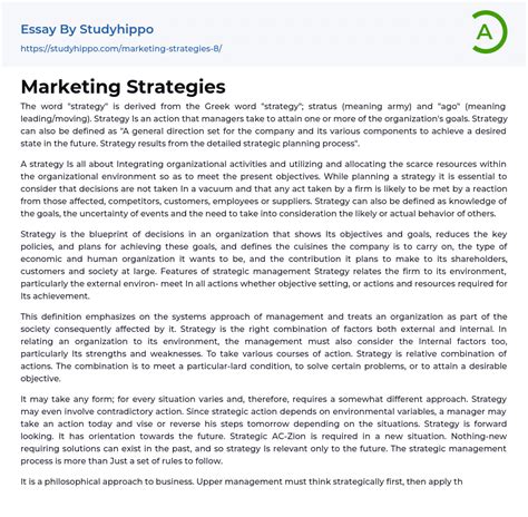 Marketing Strategies Essay Example StudyHippo