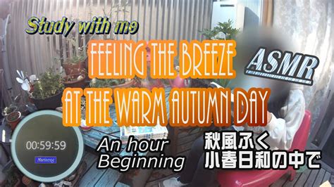 Study with meASMRfeeling the breeze at the warm Autumn day 秋風ふく小春日和