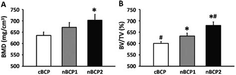 A Bmd Value And B Bone Volume Fraction Bv Tv Obtained From The