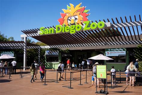 San Diego Zoo Comes In 8th Place In Usa Todays 10best Readers Choice