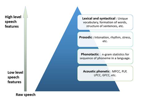 Hierarchical representation of different language discriminating... | Download Scientific Diagram