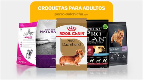 Las Mejores Marcas De Croquetas Para Perro Descubre Cu Les Son Y