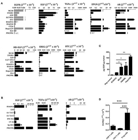 Egfr Ligands And Egfr Expression In Different Cell Lines A Tumor