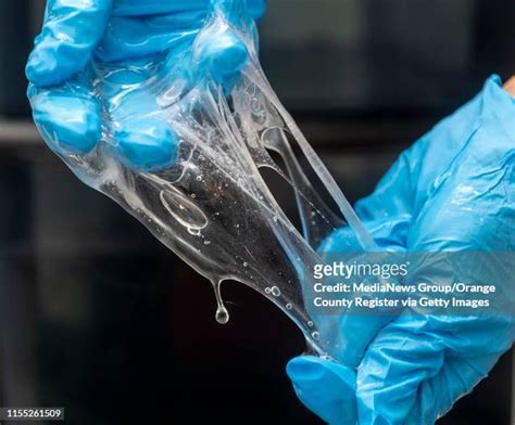 Hagfish Slime Photos and Premium High Res Pictures - Getty Images