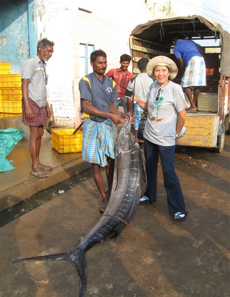 Adventures in India: Pulicat Lake