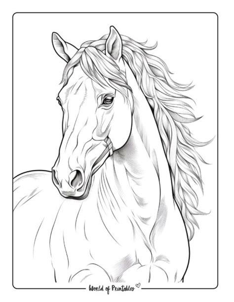 Realistic Horse Coloring Page