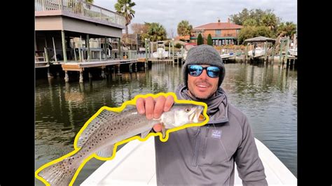 Trolling Saltwater Canals For Two Limits Of Speckled Trout Easy