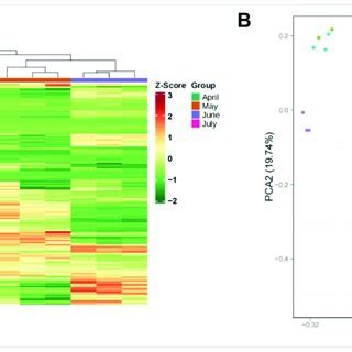 Gene Expression Levels During Four A Argyi Developmental Stages A