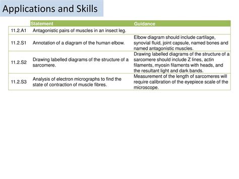 Movement Essential Idea The Roles Of The Musculoskeletal System