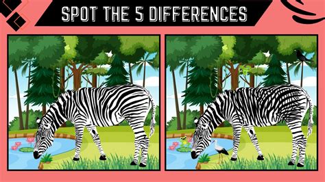 Spot The 5 Difference Picture Puzzle Game Only Sharp Eyes Can Spot The