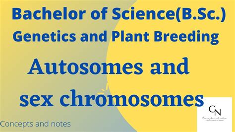 Autosomes And Sex Chromosomes Concepts And Notes For B Sc Students Genetics Plant
