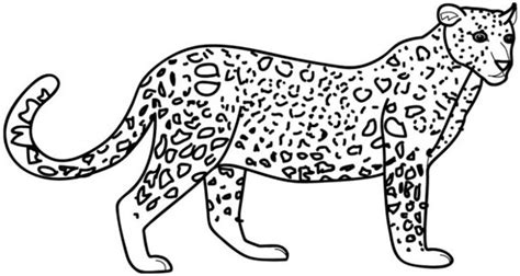 Leopard Coloring Pages Best Coloring Pages For Kids