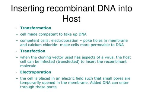 Ppt Genetics And Recombinant Dna Powerpoint Presentation Free Download Id 3892572