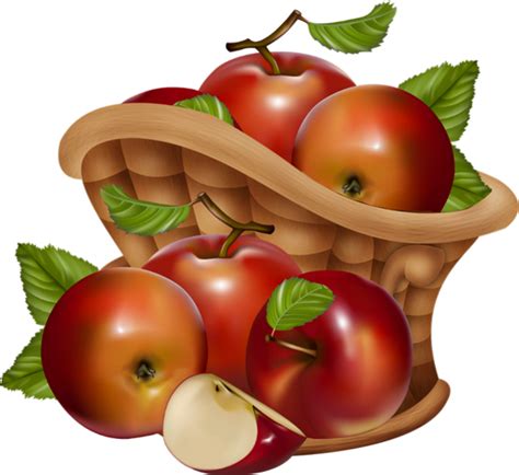 Pommes Png Dessin Tube Fruit Corbeille Apples Clipart