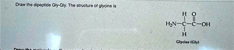 SOLVED Draw The Dipeptide Gly Gly The Structure Of Glycine Is OH