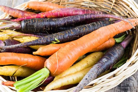 Most Famous Types And Varieties Of Carrots Complete Gardering