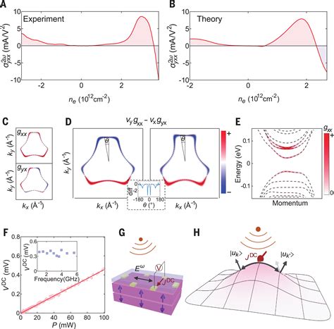 Quantum Metric Nonlinear Hall Effect In A Topological Antiferromagnetic