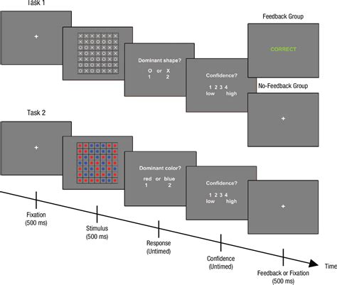 Figure 1 From The Impact Of Feedback On Perceptual Decision Making And