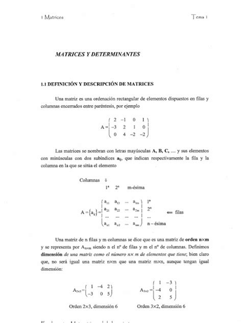 PDF Tema1 Matrices Y Determinantes DOKUMEN TIPS