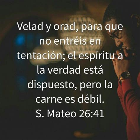 Velad Y Orad Velad Y Orad Frases Sabias Libro De Oraciones