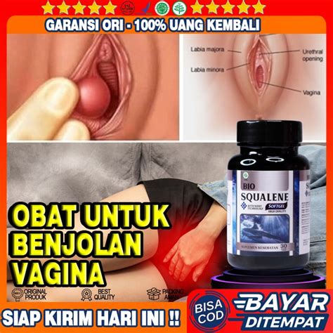 Jual Obat Penghancur Benjolan Di Vagina Obat Pengempis Benjolan Di