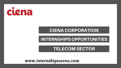 Ciena Internship In 2024 New Openings Internships Arena