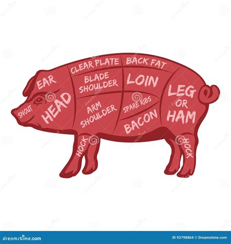 Poster Butcher Diagram Scheme And Guide Pork Stock Vector