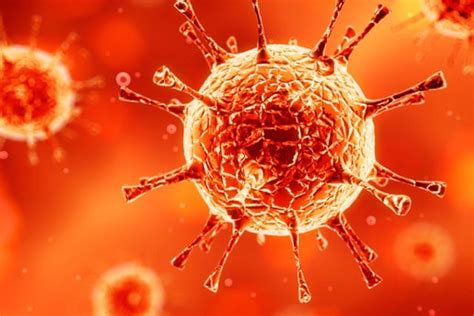 Citomegalovirus Igg Positivo Qu Es Y Resultados Tua Sa De