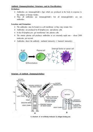 Immunoglobulins | PDF