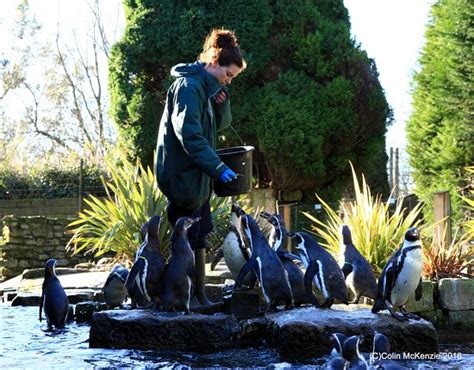 Birdworld Farnham All You Need To Know Before You Go With Photos