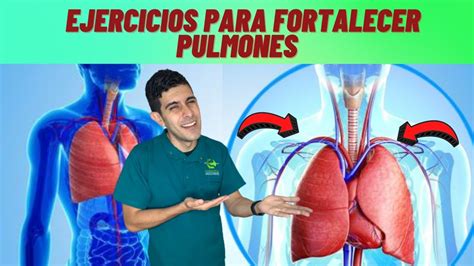 C Mo Fortalecer Tus Pulmones Youtube