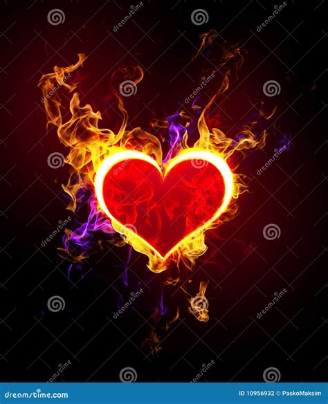 Flaming Heart Stock Illustration Illustration Of Caught 10956932