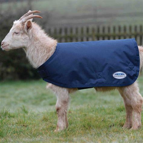 Weatherbeeta Goat Coat