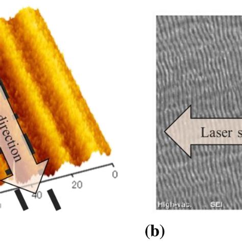 Various Directions Of Laser Induced Periodic Surface Structure