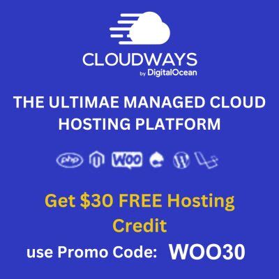 Cloudways Review Best Managed Hosting All Digi Solutions