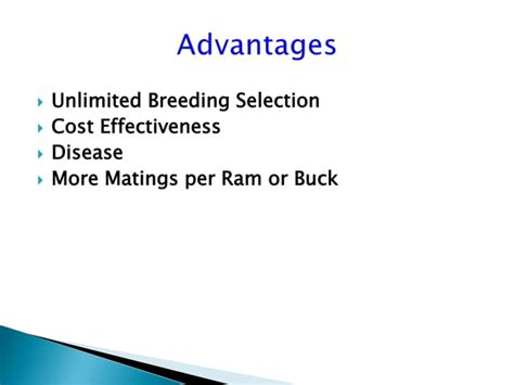 Advantage And Restrictions Of Artificial Insemination Ai In Sheep And