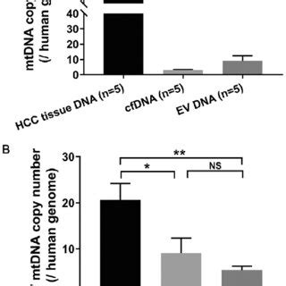 Comparison Of Dna Fragment Size Among Patients With Hcc Hepatitis And