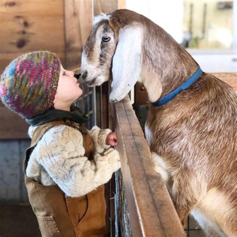 Vermont Cheese Week Hosted By Vermont Cheese Council