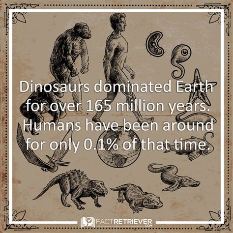 97 Interesting Facts about Dinosaurs | FactRetriever.com | Dinosaur ...