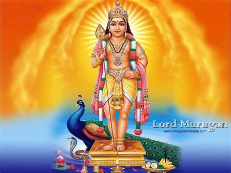 Tamil God Wallpapers Top Free Tamil God Backgrounds Wallpaperaccess